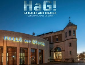 La Halle aux Grains Scène Nationale de Blois