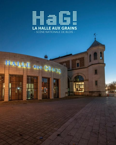 La Halle aux Grains Scène Nationale de Blois