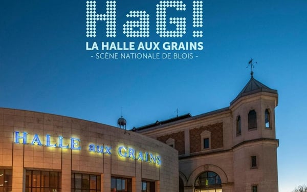 La Halle aux Grains Scène Nationale de Blois