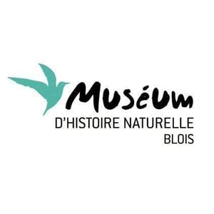 Muséum D'Histoire Naturelle Blois