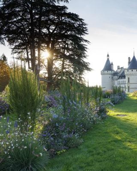 Domaine De Chaumont-Sur-Loire