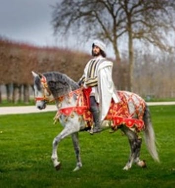 Spectacle Chevaux