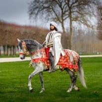 Spectacle chevalin « Chambord, l'histoire à cheval »