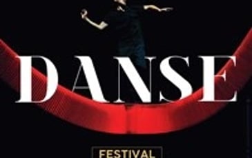 Spectacle au Château Royal de Blois