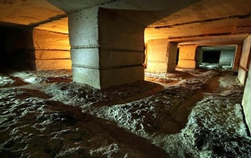 Visite guidée de l'ancienne champignonnière