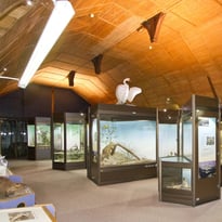 Visite libre de l'exposition "Le Blésois, carrefour de régions naturelles"