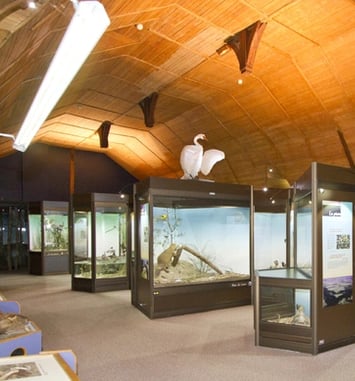 Visite libre de l'exposition "Le Blésois, carrefour de régions naturelles"