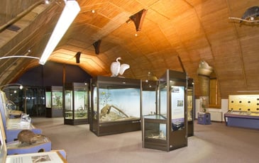 Visite libre de l'exposition "Le Blésois, carrefour de régions naturelles"