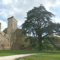 Le château au fil des pierres et de l'histoire