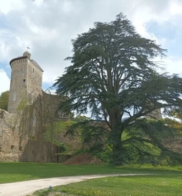 Le château au fil des pierres et de l'histoire