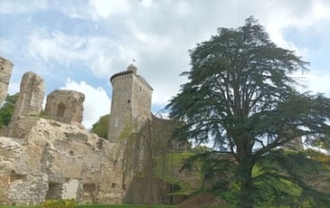 Le château au fil des pierres et de l'histoire