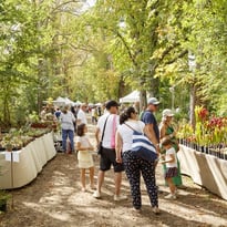 Les Botaniques de Chaumont-sur-Loire