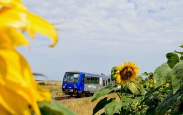 La Compagnie du Blanc Argent vous ouvre ses portes