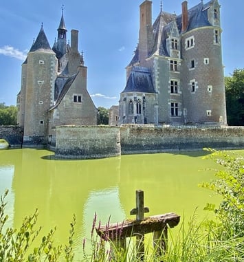Visite du château