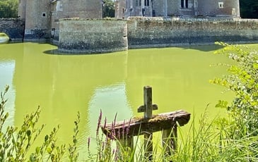 Visite du château