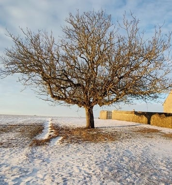 Les petits secrets d'une église rurale
