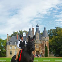 Parcours photographique sur le cheval percheron