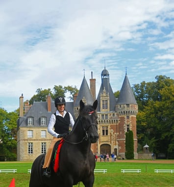 Parcours photographique sur le cheval percheron