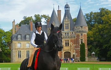 Parcours photographique sur le cheval percheron
