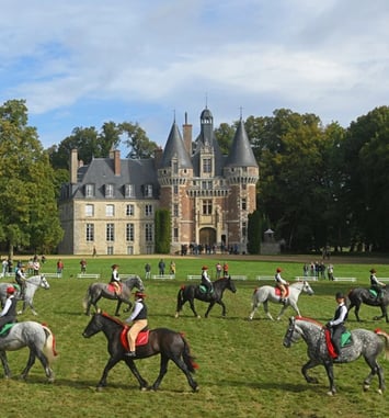 Les Traits du Perche au Château de Saint-Agil : Visite, démonstrations et spectacle