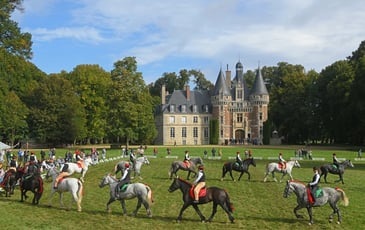 Les Traits du Perche au Château de Saint-Agil : Visite, démonstrations et spectacle