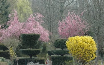 Visite guidée, sauvegarder le bâti et le jardin