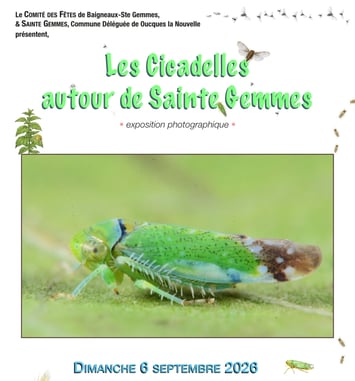 Les Cicadelles autour de Sainte Gemmes