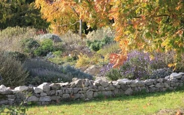 Visite libre d'un jardin sans arrosage